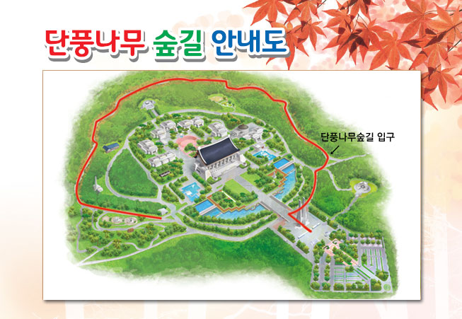 단풍나무숲길 안내도