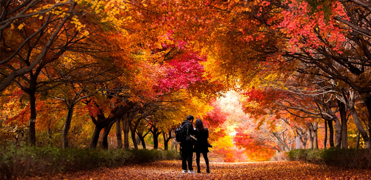 시간은 머물고 우리는 물드는