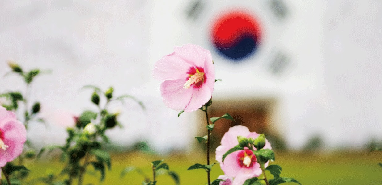 순국선열의 날,<BR />다시 부르는 그 이름