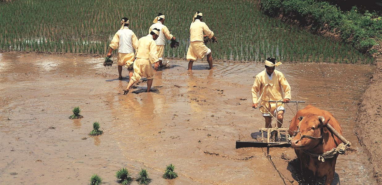 뭉치어라 작인들아<BR />뭉치어라 굳세게 뭉치어라