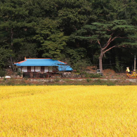 이 땅의 숨결 가을이 머무는 곳 강원도 정선