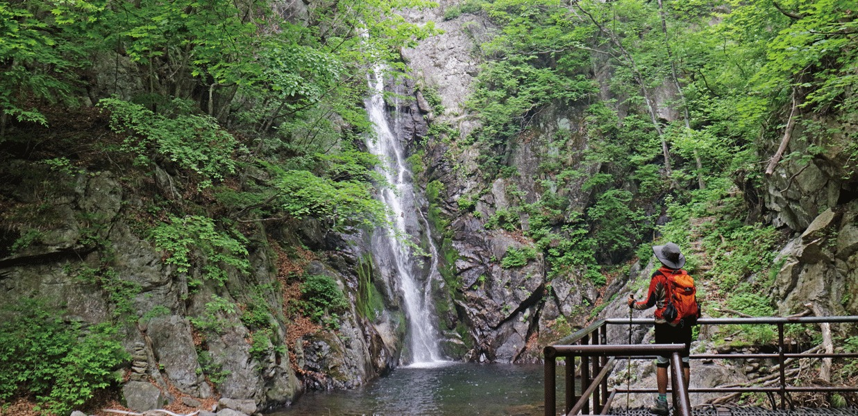 천상에 꽃이 피었네<BR />소백산국립공원