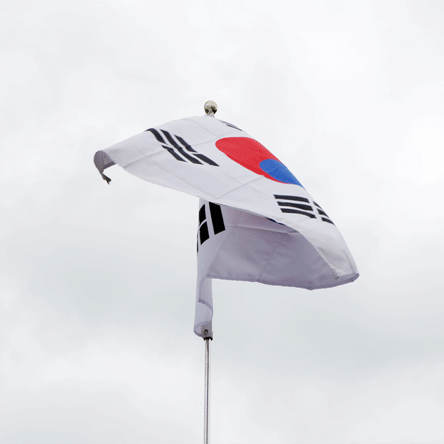 끝나지 않은 독립운동 ‘순국선열의 날’<BR>역사적 의미와 제언