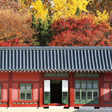 이 땅의 숨결 시간의 흔적을 따라<BR>서울의 가을