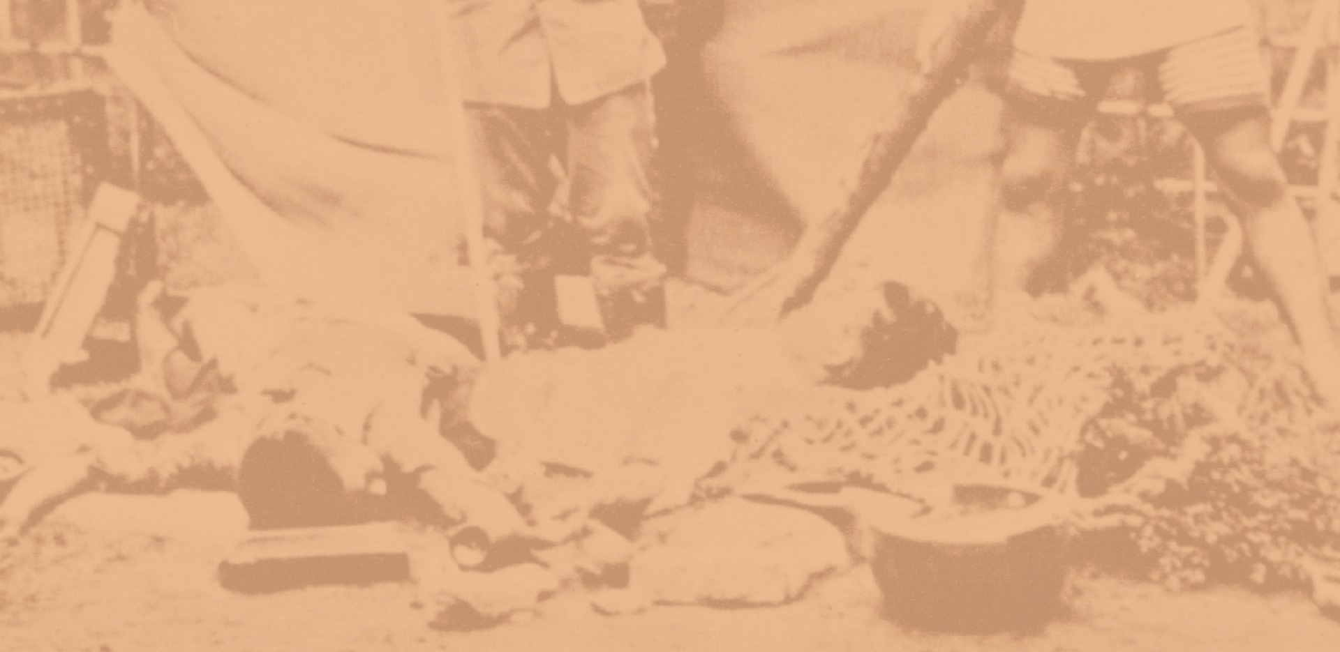 이달의 독립운동가