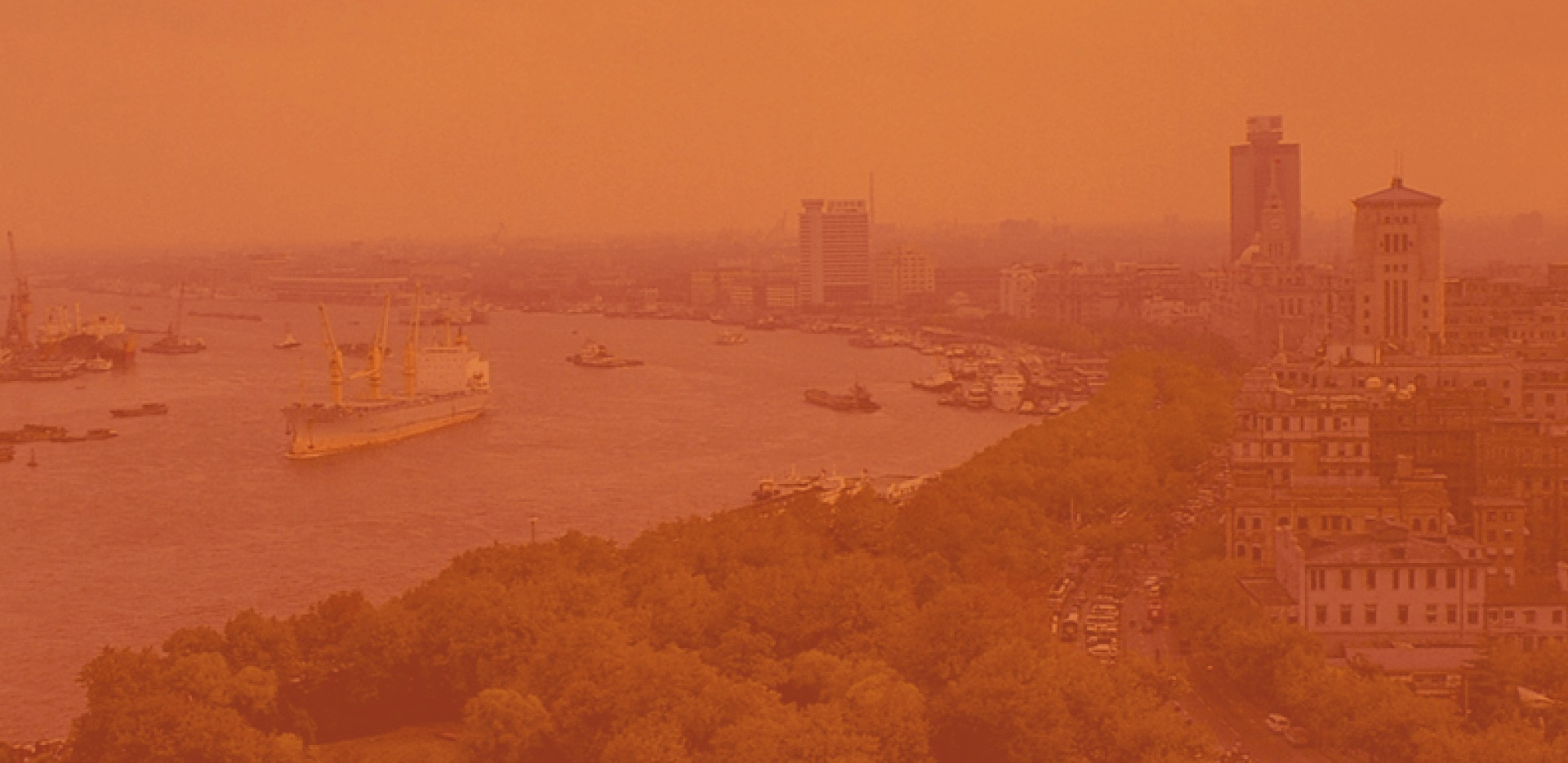 이달의 독립운동가