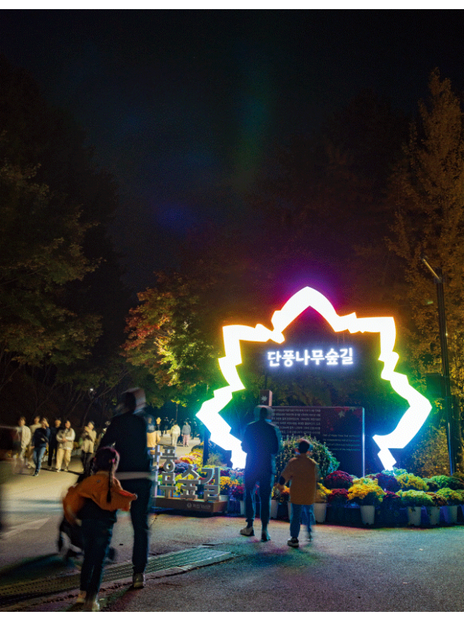 이달의 기념관 독립기념관 단풍나무숲길 최초 야간 개장<BR>반짝반짝 불빛 아래 낭만적인 가을 산책