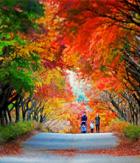 세번째문제에대한이미지